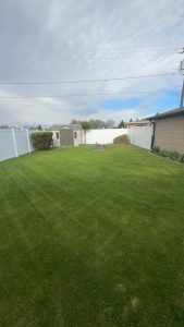 Lawn Care 3