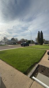 Lawn Care 1