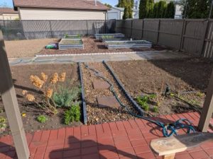Backyard Landscape 3