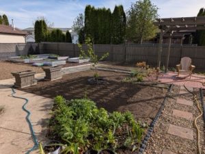 Backyard Landscape 4