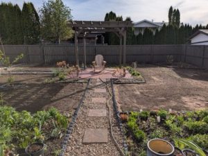 Backyard Landscape 1
