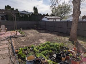 Backyard Landscape 2